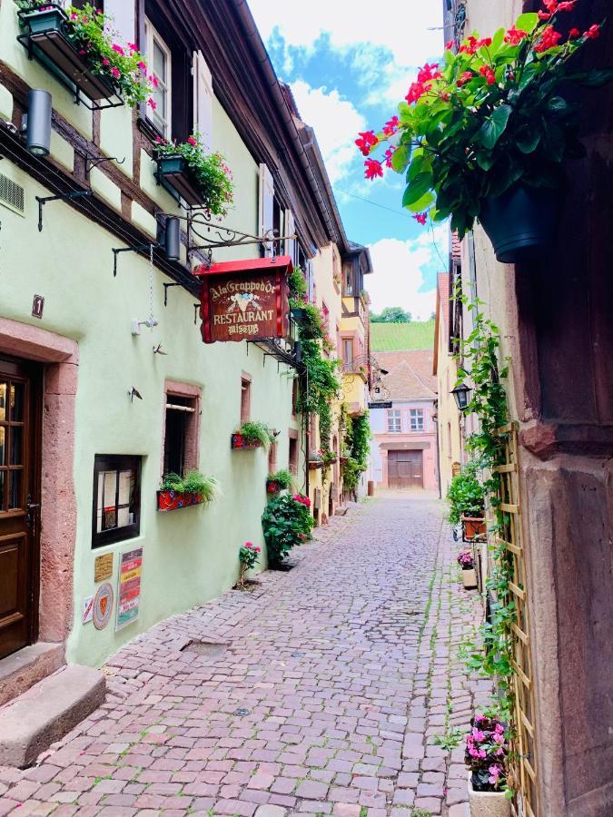 La Ruelle Alsacienne, Charme Alsacien Et Confort Moderne Riquewihr Bagian luar foto
