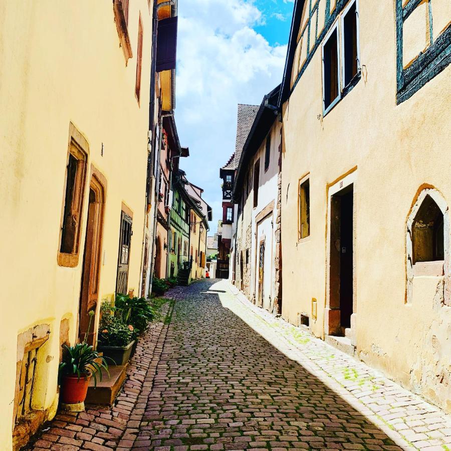 La Ruelle Alsacienne, Charme Alsacien Et Confort Moderne Riquewihr Bagian luar foto